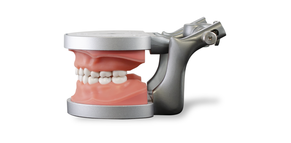 ModuPRO Pros M200 ADEX typodont/dentoform in articulator for CDCA practice and preparation.